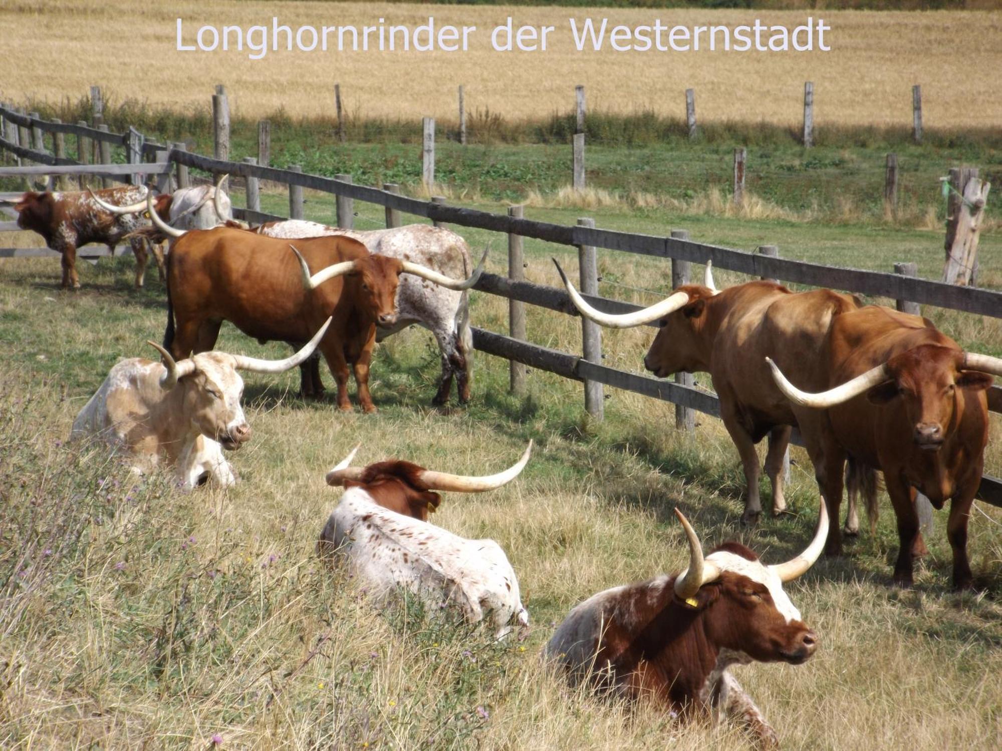 Ferienwohnung Harzblick Wienrode Exterior foto